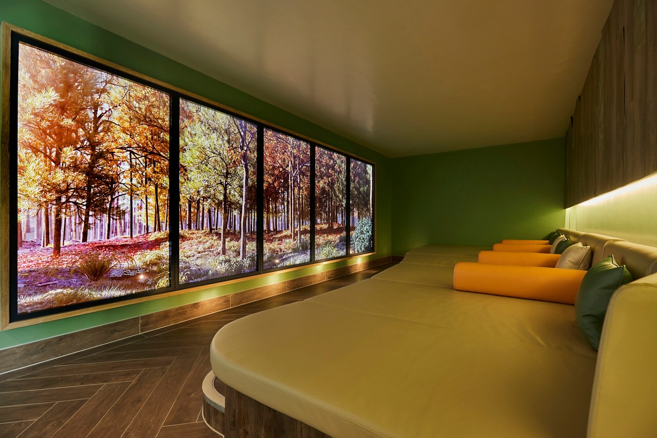 Cushioned lounging bed facing a seasonal view of the forest.